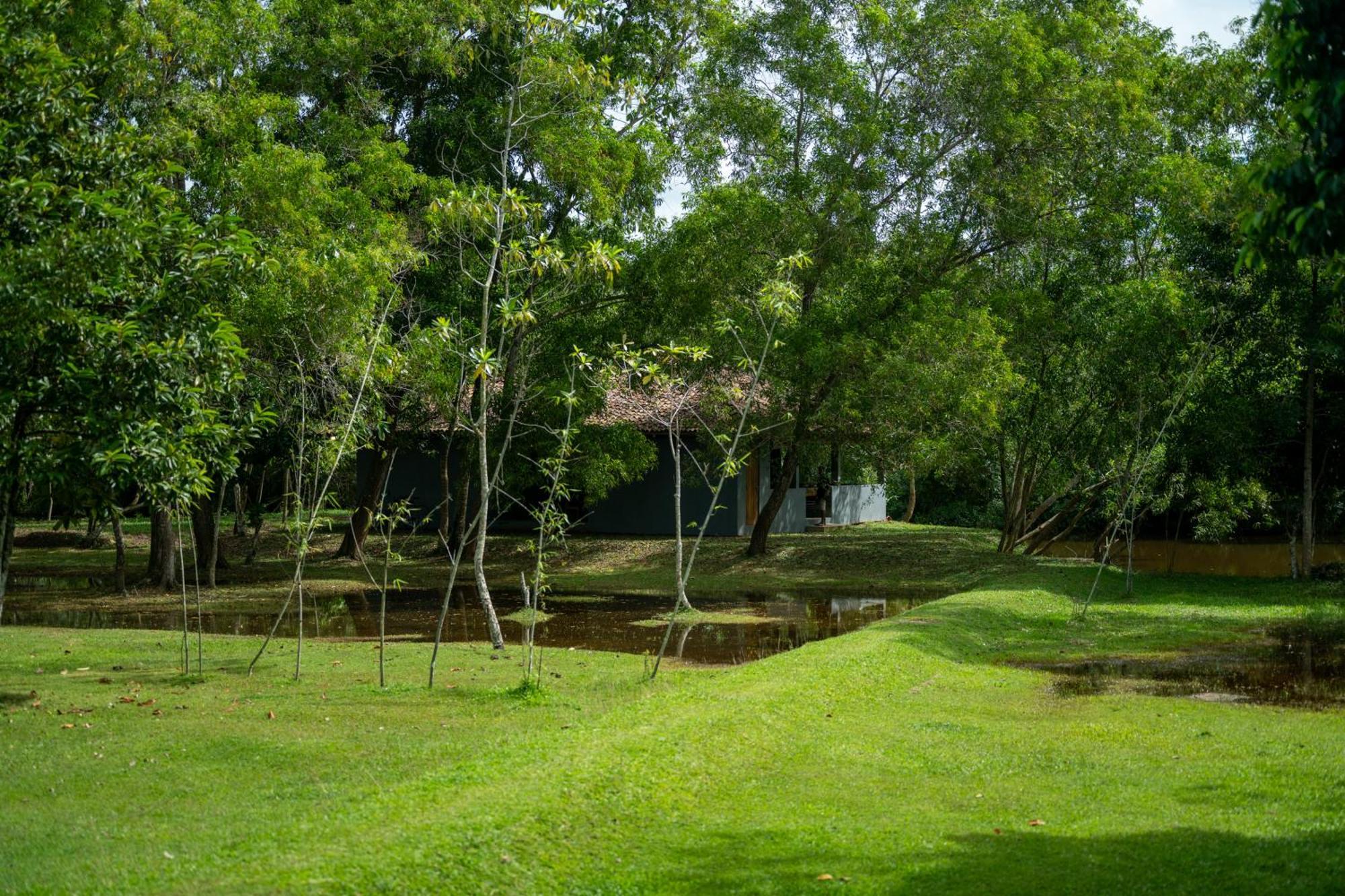Wirdana Resort & Spa Bussa 外观 照片