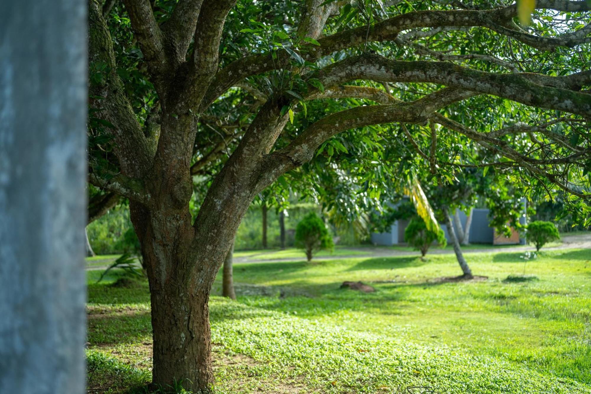 Wirdana Resort & Spa Bussa 外观 照片